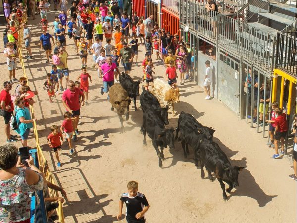 Operadores jurídicos piden la cancelación de un ‘encierro taurino infantil’ en Sagunto