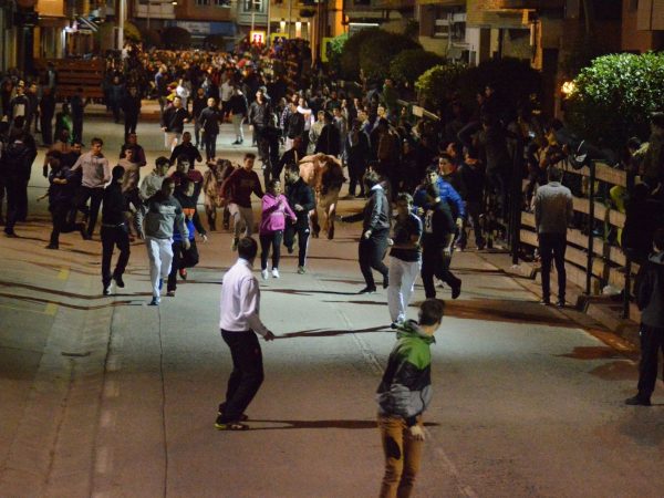 Suspenden festejo taurino en Forcall por la ‘borrachera’ de la médica