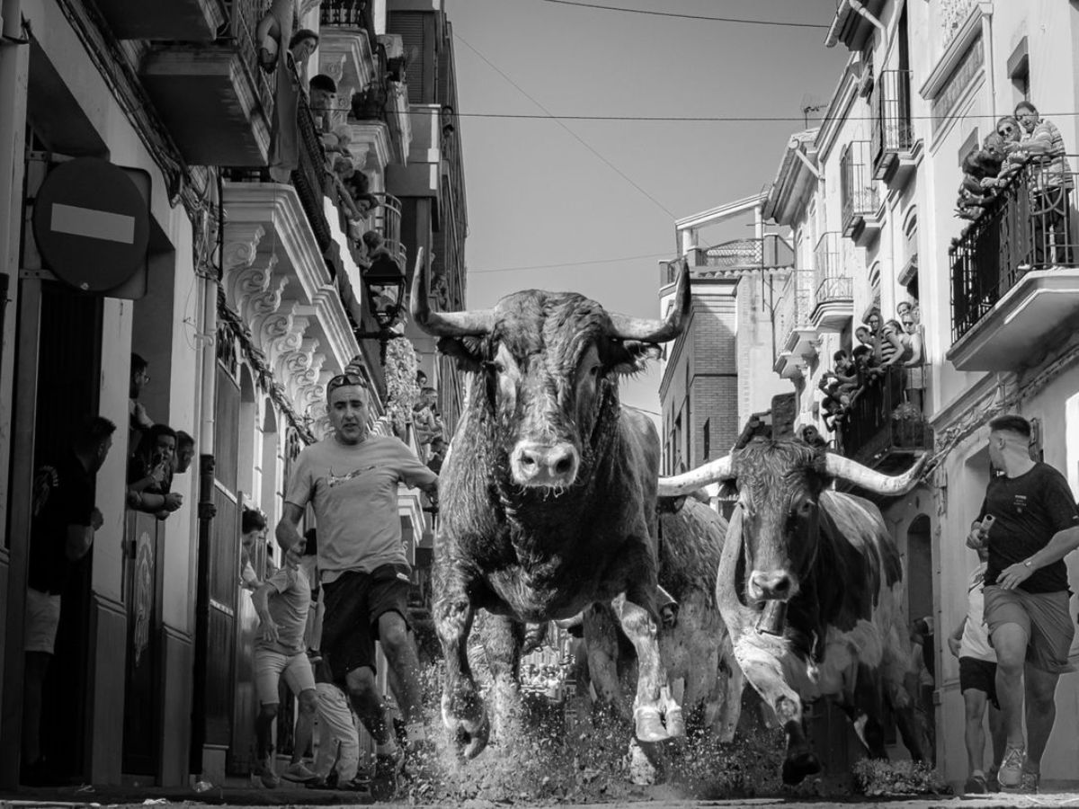 Toros de Carmen Valiente en las fiestas de la Mare de Déu del Roser en Almassora