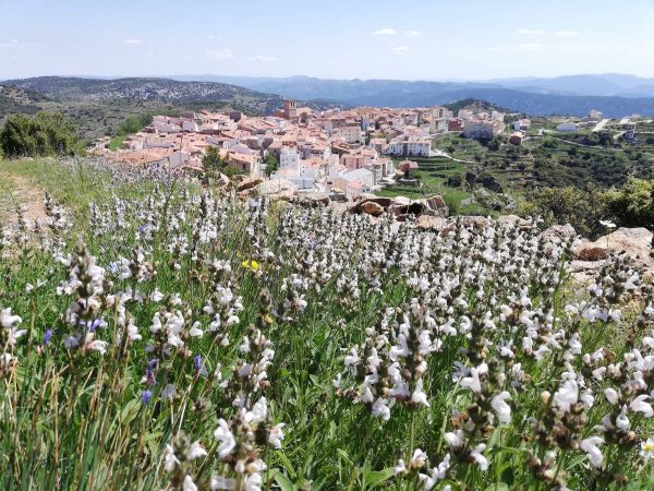 Vistabella se prepara para celebrar este fin de semana las Fiestas de Loreto