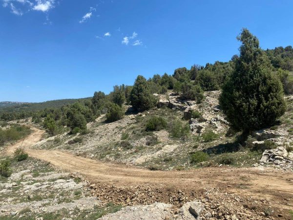 Acondicionan el camino a Vallivana para la Rogativa del 55 Sexenni de Morella