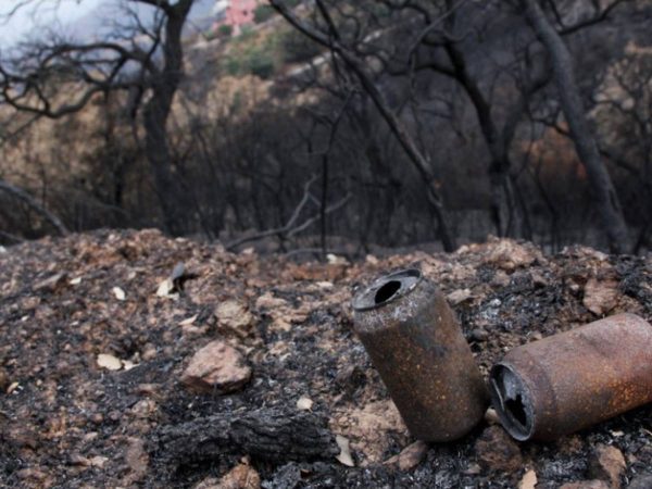 Alcaldes del PSPV-PSOE denuncian abandono de las zonas afectadas por el incendio de Bejís