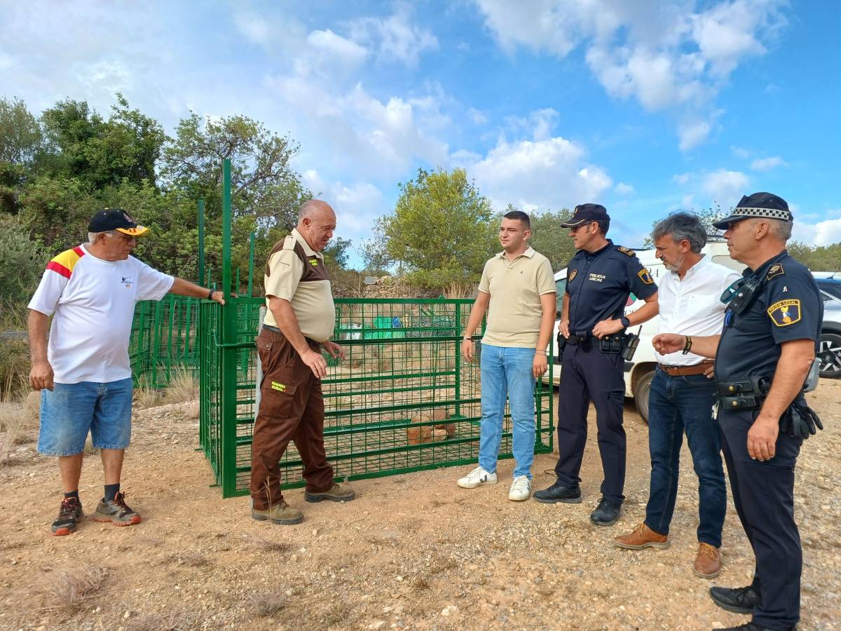 Benicarló apuesta por jaulas trampa para controlar la superpoblación de jabalís