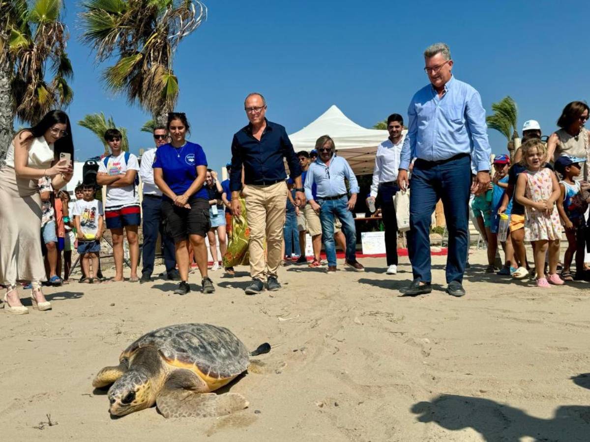 Chilches celebra la inversión millonaria en la playa y la suelta de una tortuga Caretta