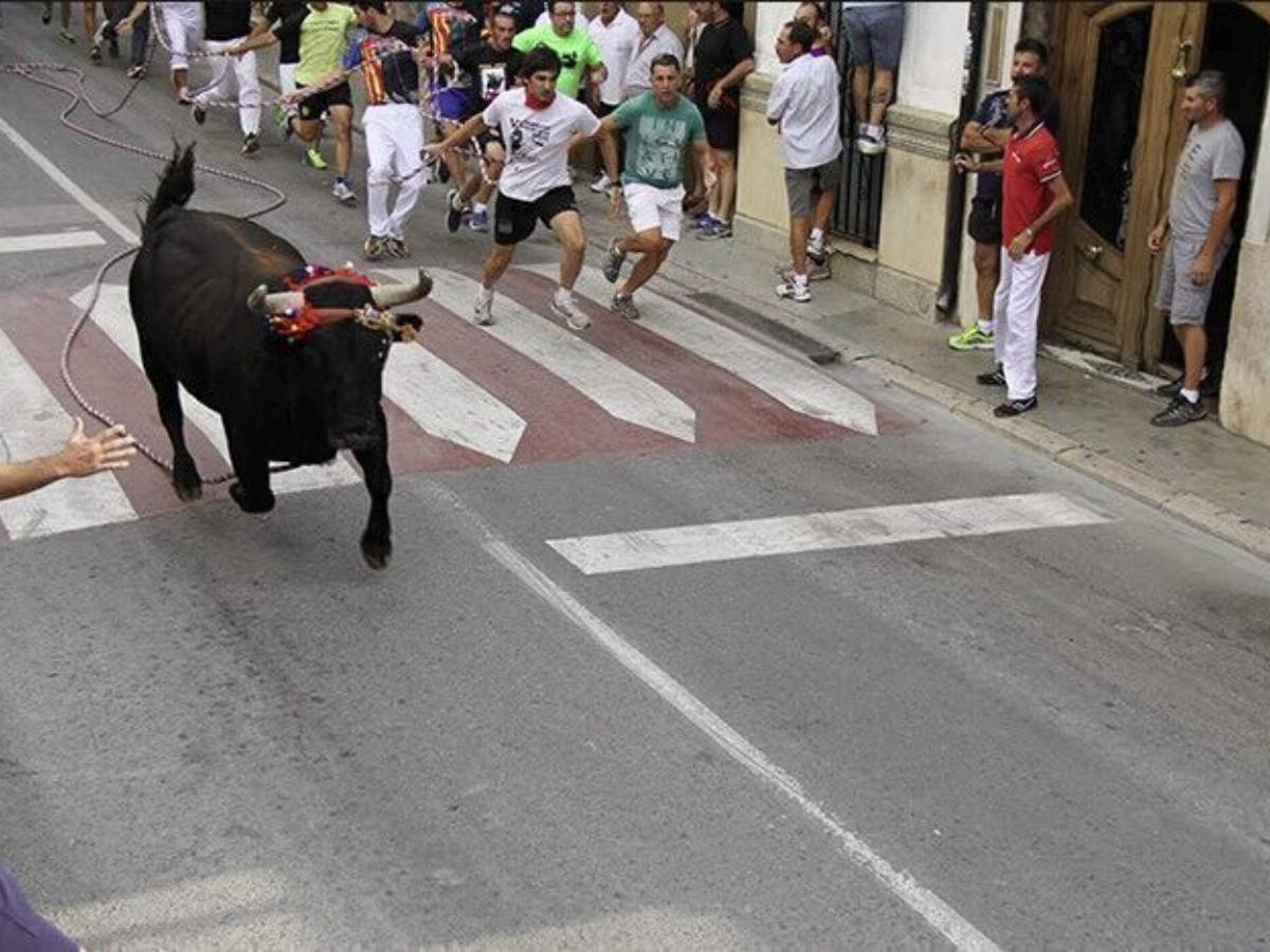 Conflicto con la Generalitat Valenciana por el ‘Torico’ de Chiva