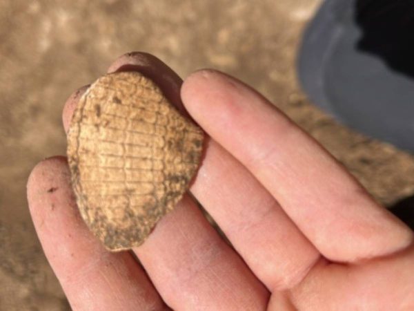 Descubren un yacimiento prehistórico en el barrio del Poble-sec de Barcelona