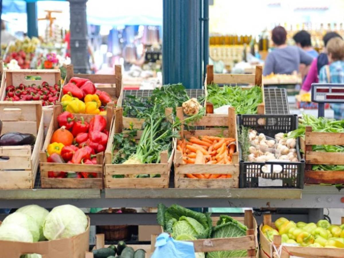 El Mercado Central de Vila-real avanza en su modernización