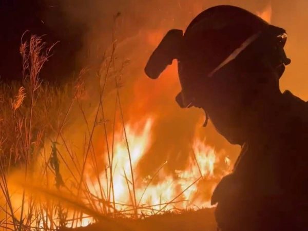 Incendio forestal en Artana moviliza varias dotaciones de bomberos