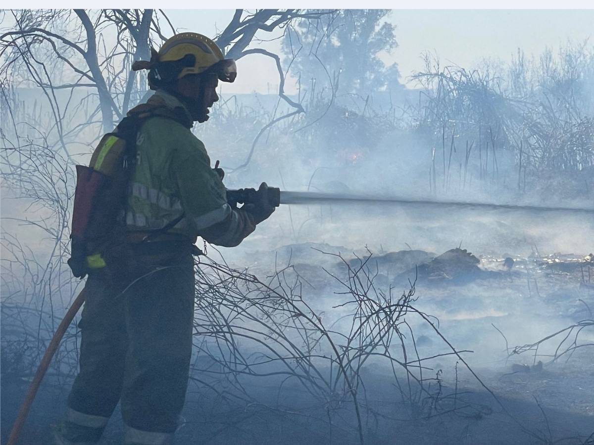 Incendios en Vallibona, Adzeneta, Sant Joan de Moró y Les Alqueries