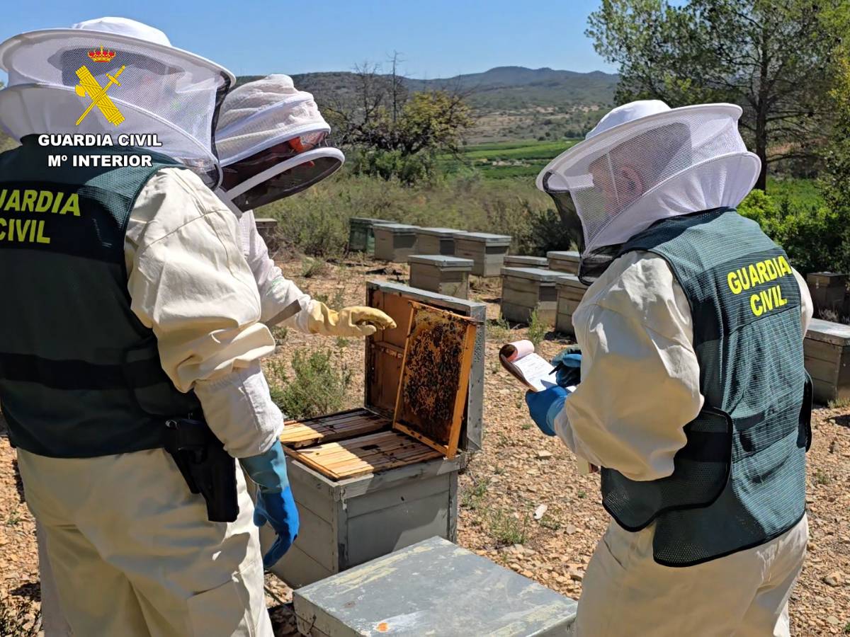 La empresa investigada falsificaba la documentación para burlar los controles sanitarios y la comercializaba como miel ecológica certificada