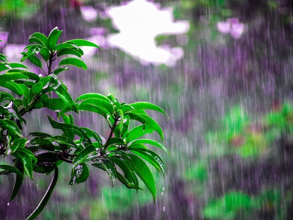 Jueves con tormentas, granizo y rachas muy fuertes de viento