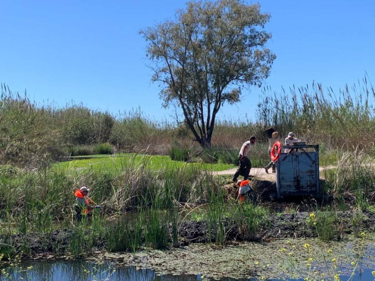 Refuerzo de personal en Parques Naturales de la Comunitat Valenciana por alta afluencia de visitantes