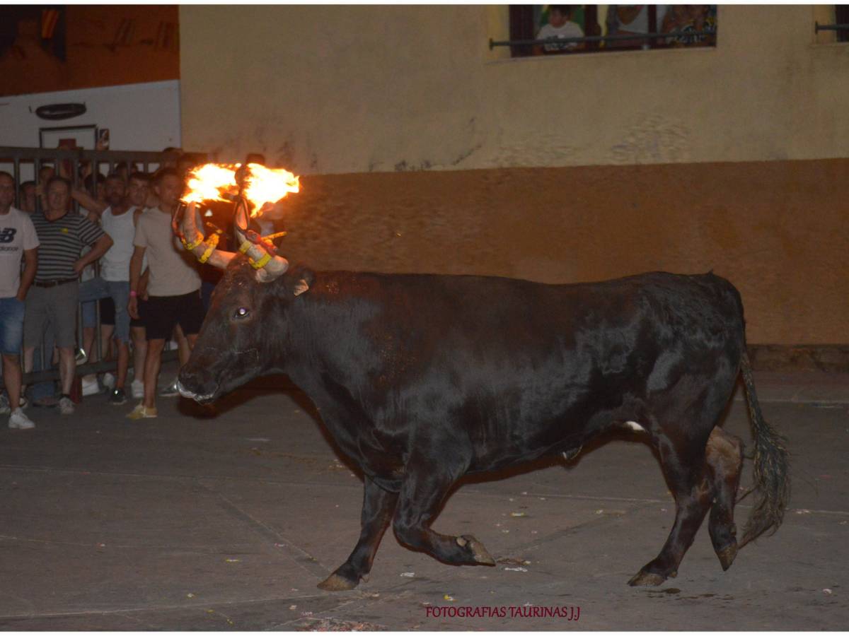 Suspenden el toro embolado en Vistabella por un herido grave