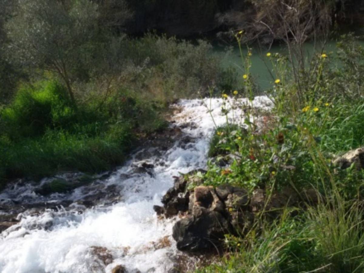 Agricultura pide a la CHS la activación de los pozos de sequía