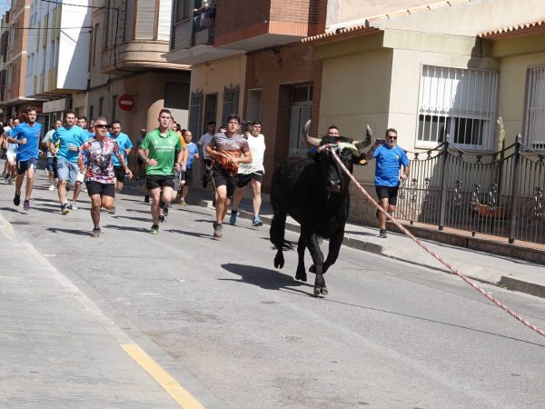 Amplia programación taurina en las fiestas de Alquerías del Niño Perdido