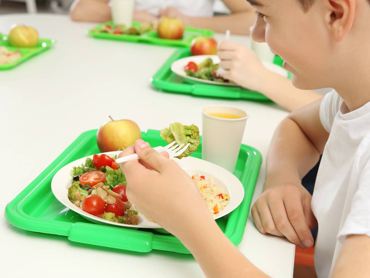 Ayudas de comedor escolar: Incremento en la asignación y plazos para alegaciones