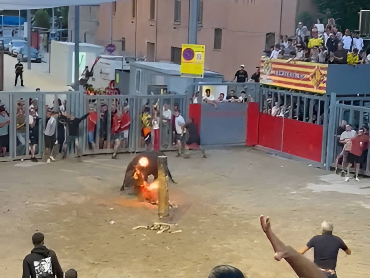 Grave cogida en el toro embolado de Vila-real