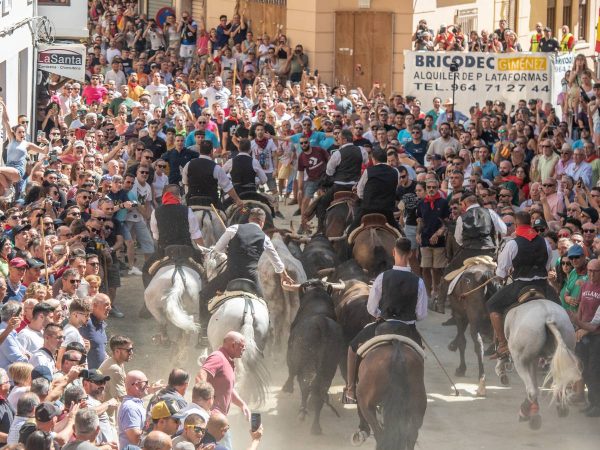 Cuarta Entrada de Toros y Caballos de Segorbe 2024