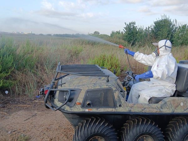 Diputación intensifica los tratamientos contra mosquitos tras las lluvias en Castellón