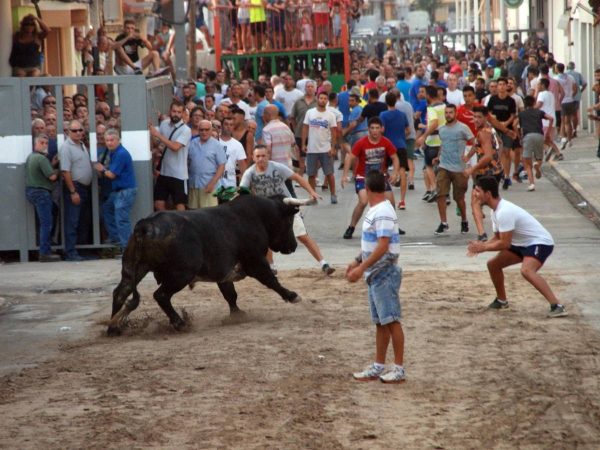 El Sindic de Greuges investiga a la Conselleria tras las cogidas de menores en los bous al carrer