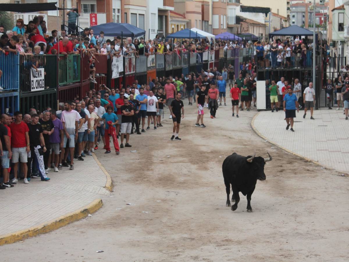 Fundación Franz Weber denuncia la participación de menores en tauromaquia ante la ONU