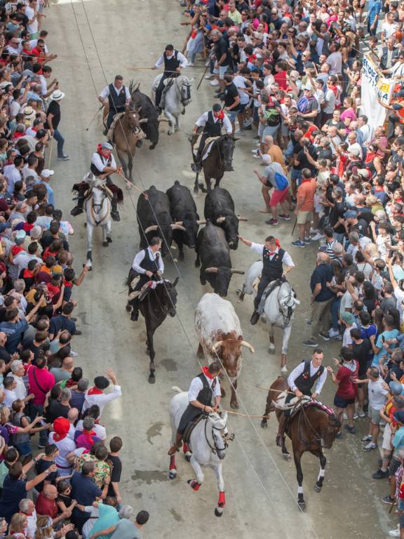 El penúltimo día de los festejos taurinos de Segorbe contó con una multitudinaria entrada de toros, jinetes locales y autoridades presentes.