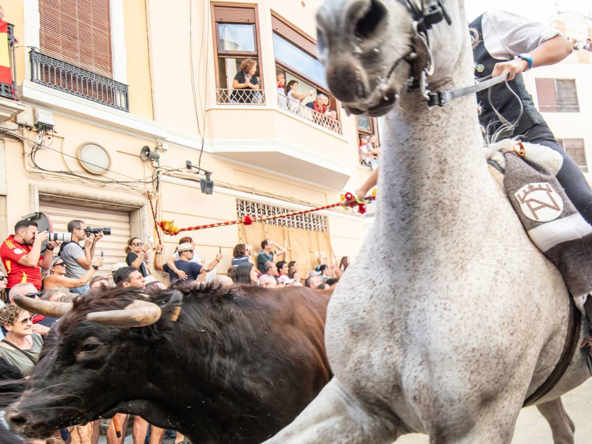 Gran éxito de público en la sexta Entrada de Toros y Caballos 2024 de Segorbe