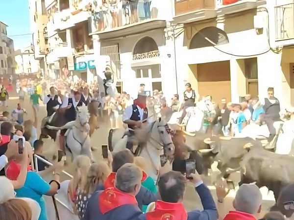 Grave incidente en el Segundo Encierro de la Entrada de Toros y Caballos de Segorbe