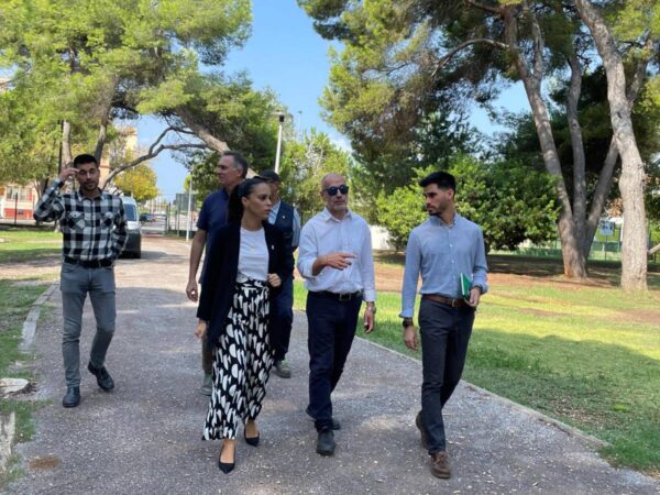 Las últimas lluvias en el Grao de Castellón obligan a regenerar el Pinar