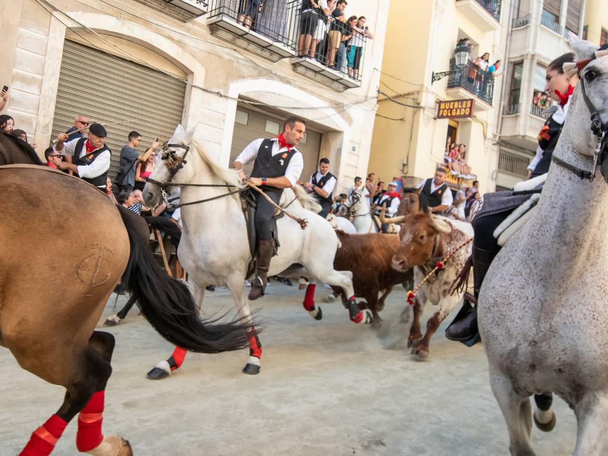 Multitudinaria quinta Entrada de Toros y Caballos de Segorbe 2024