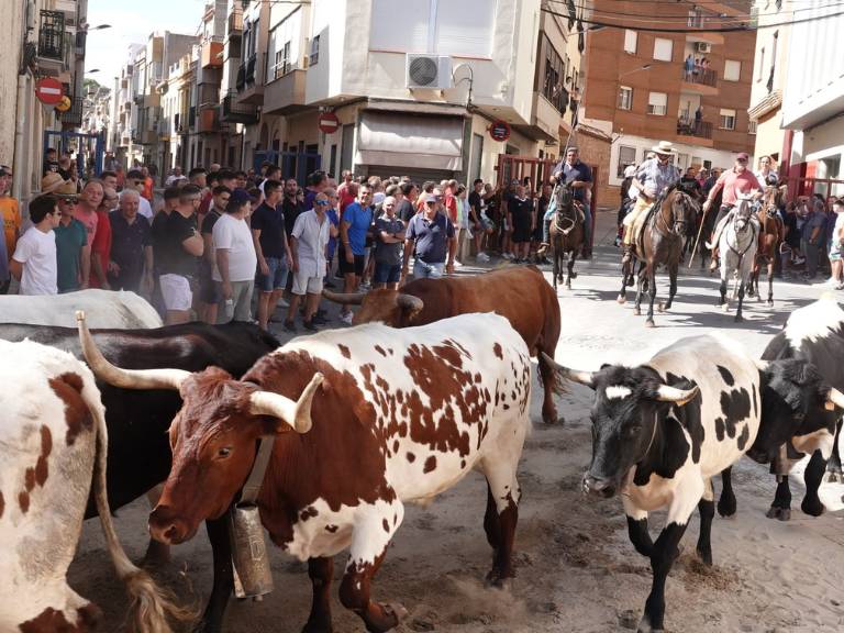 El encierro campero y los actos solemnes del domingo marcan el fin de semana festivo