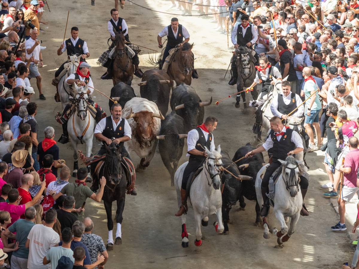 Primera Entrada de Toros y Caballos de Segorbe 2024 «excelente y veloz»