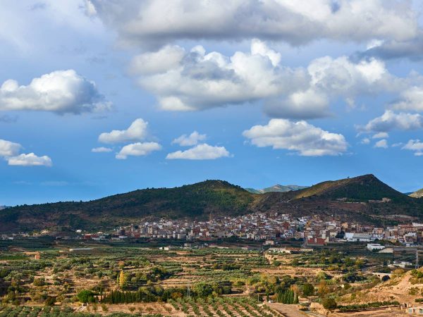 Reducción del 60% en el ITP para las propiedades agrícolas valencianas