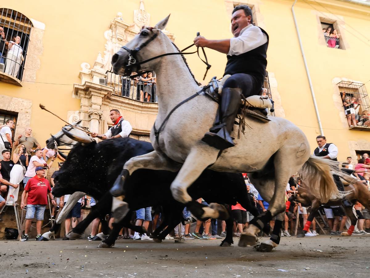 Segunda Entrada de Toros y Caballos 2024 con la caída de un caballista