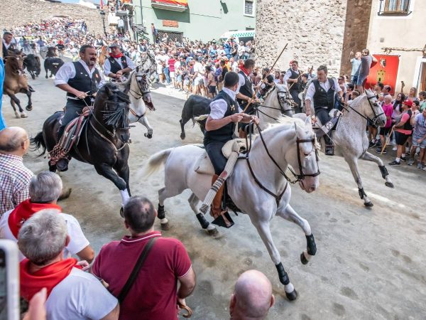 Séptima y última Entrada de Toros y Caballos 2024 de Segorbe