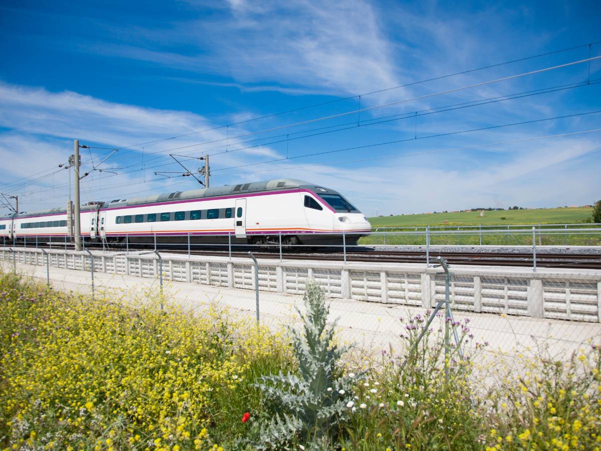 Trenes de alta velocidad y Euromed a València afectados por incidencia en Barcelona-Sants