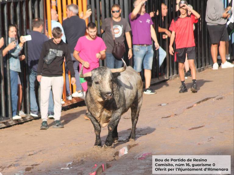 Hoy domingo, Almenara celebra el día de su patrona, la Mare de Déu del Bon Succés