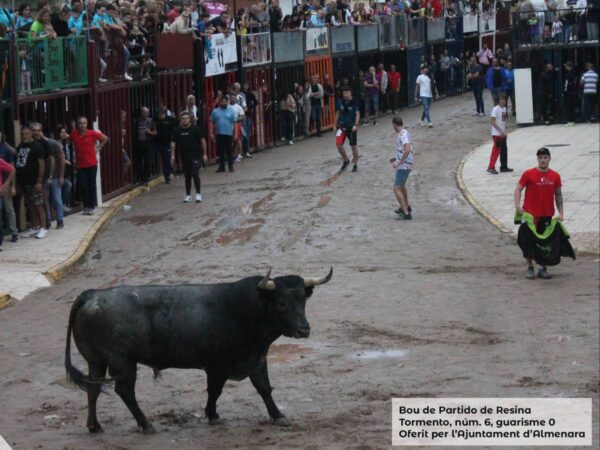 Un herido el primer día de «bous al carrer» en Almenara