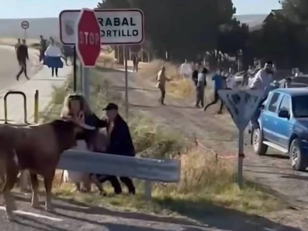 Un toro se planta delante de un niño tras escaparse de un encierro