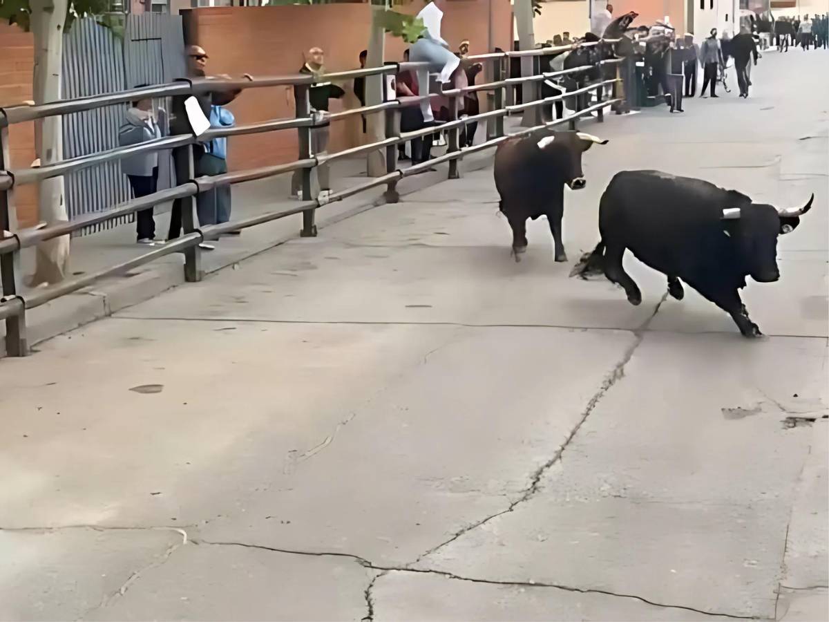 Un muerto y tres heridos, incluyendo una niña, tras escapar un toro en Pantoja, Toledo