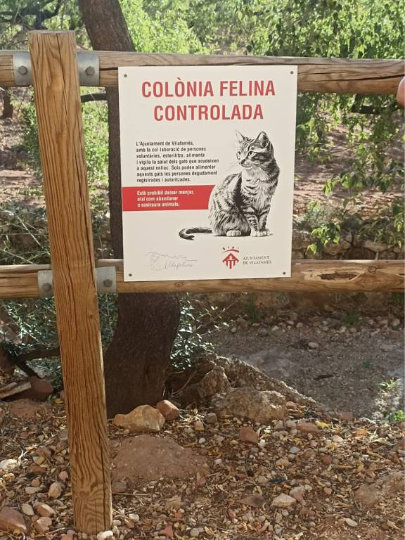 Se han instalado dos casetas en una fase piloto al final de la calle Paseo, en el casco antiguo de la ciudad, para ofrecer refugio a los gatos que viven en esa zona.