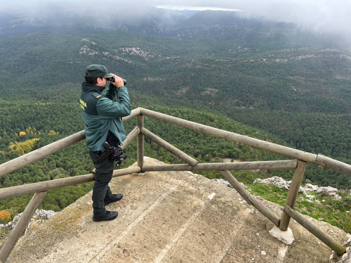 Encuentran los restos de la avioneta desaparecida en Jaén