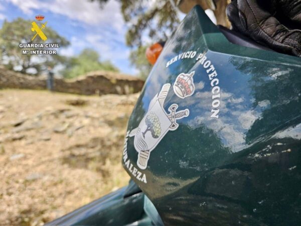 SEPRONA investiga la muerte masiva de carpas en Almenara