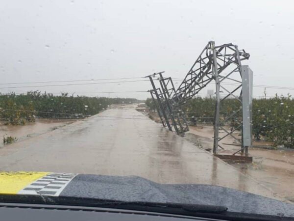 Ayuda urgente para un refugio de animales tras el tornado de Carlet