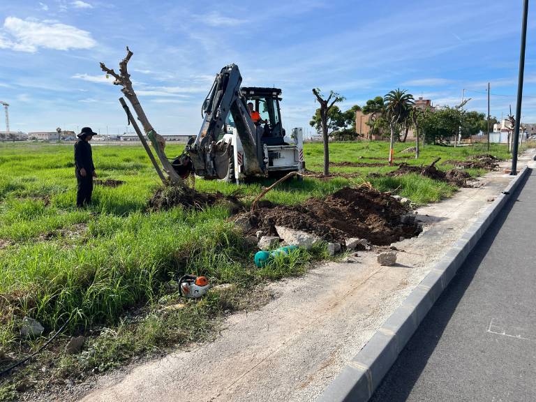 Las actuaciones en la principal vía de la zona marítima incluyen el traslado del arbolado para evitar su tala.