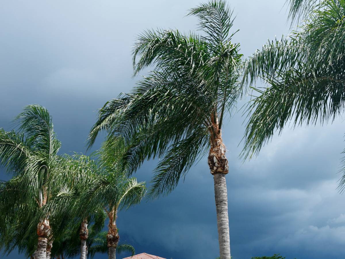 DANA con heladas y tormentas intensas para el fin de semana