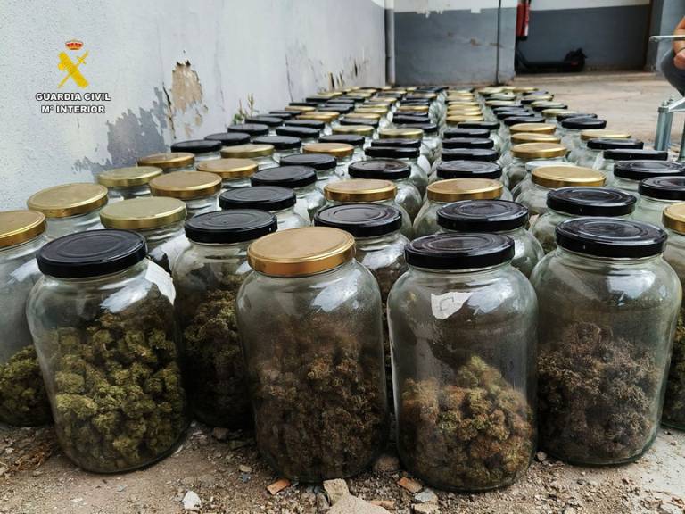 Mediante el cultivo ilegal de marihuana, los delincuentes abastecían a una asociación cannábica, de la cual uno de ellos era propietario.