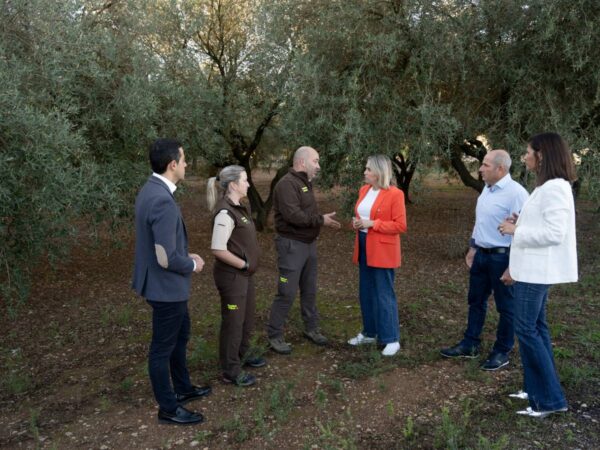 Diputación de Castellón incrementará un 50% las ayudas para seguridad en el campo