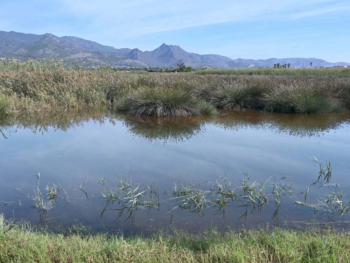 El proyecto de mitigación de la inundabilidad de la zona sur de Benicàssim se somete a exposición pública