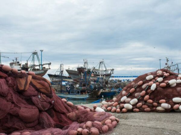 El TJUE anula los acuerdos comerciales de Agricultura y Pesca entre Marruecos y la UE